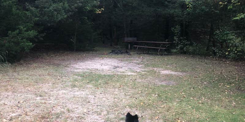 Camper submitted image from Snake River - Merritt Reservoir SRA