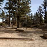 Review photo of North Campground — Bryce Canyon National Park by Natalie B., November 1, 2018