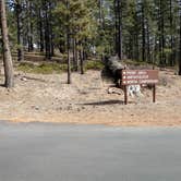 Review photo of North Campground — Bryce Canyon National Park by Natalie B., November 1, 2018