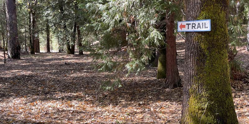 Camper submitted image from Long Ravine Resort