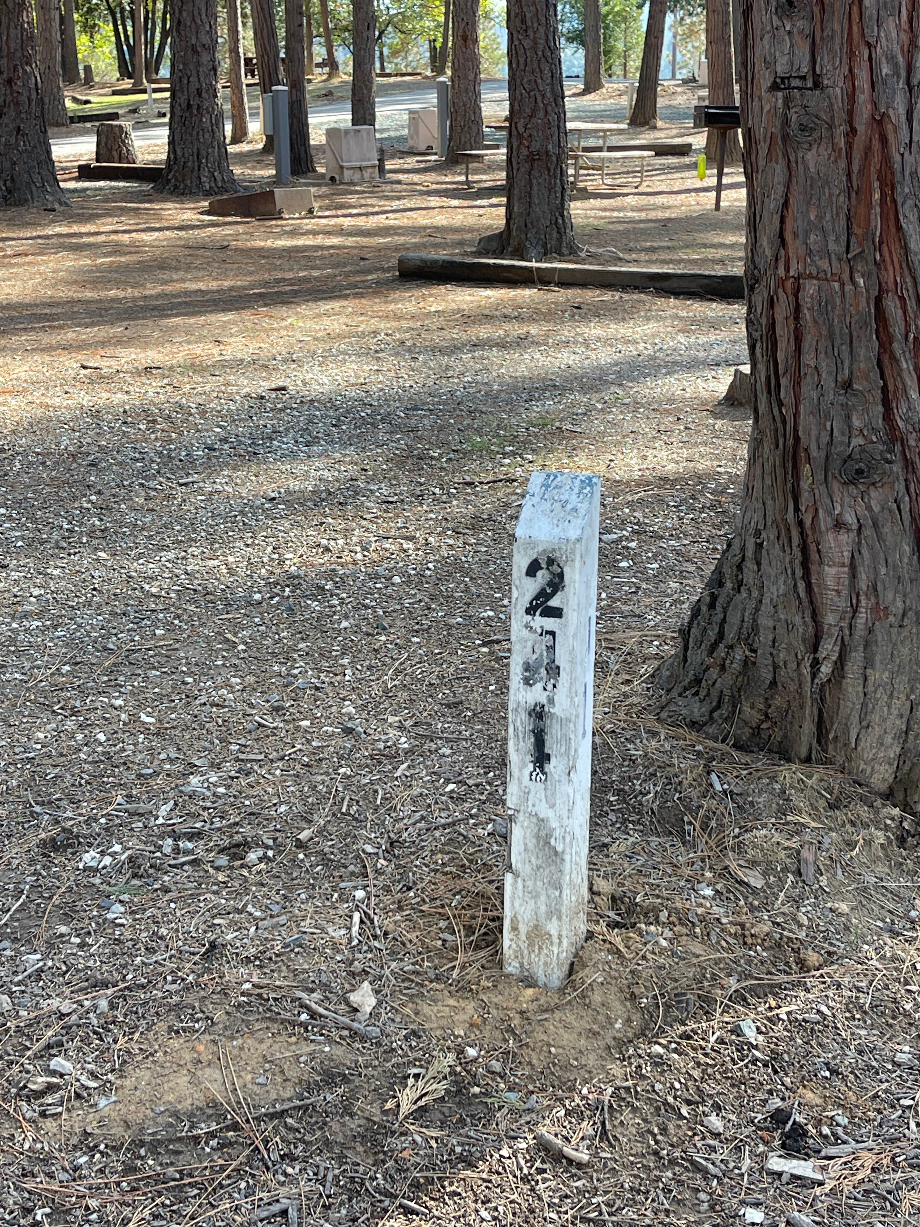 Camping near Peninsula Camping and Boating Resort: Orchard Springs Campground, Pinecrest, California