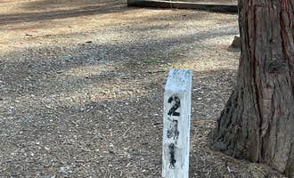 Camping near Forbes Creek Group Campground: Orchard Springs Campground, Pinecrest, California