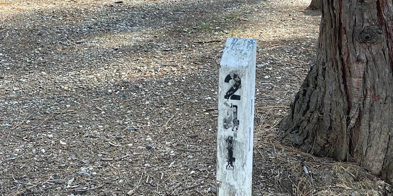 Camper submitted image from Orchard Springs Campground