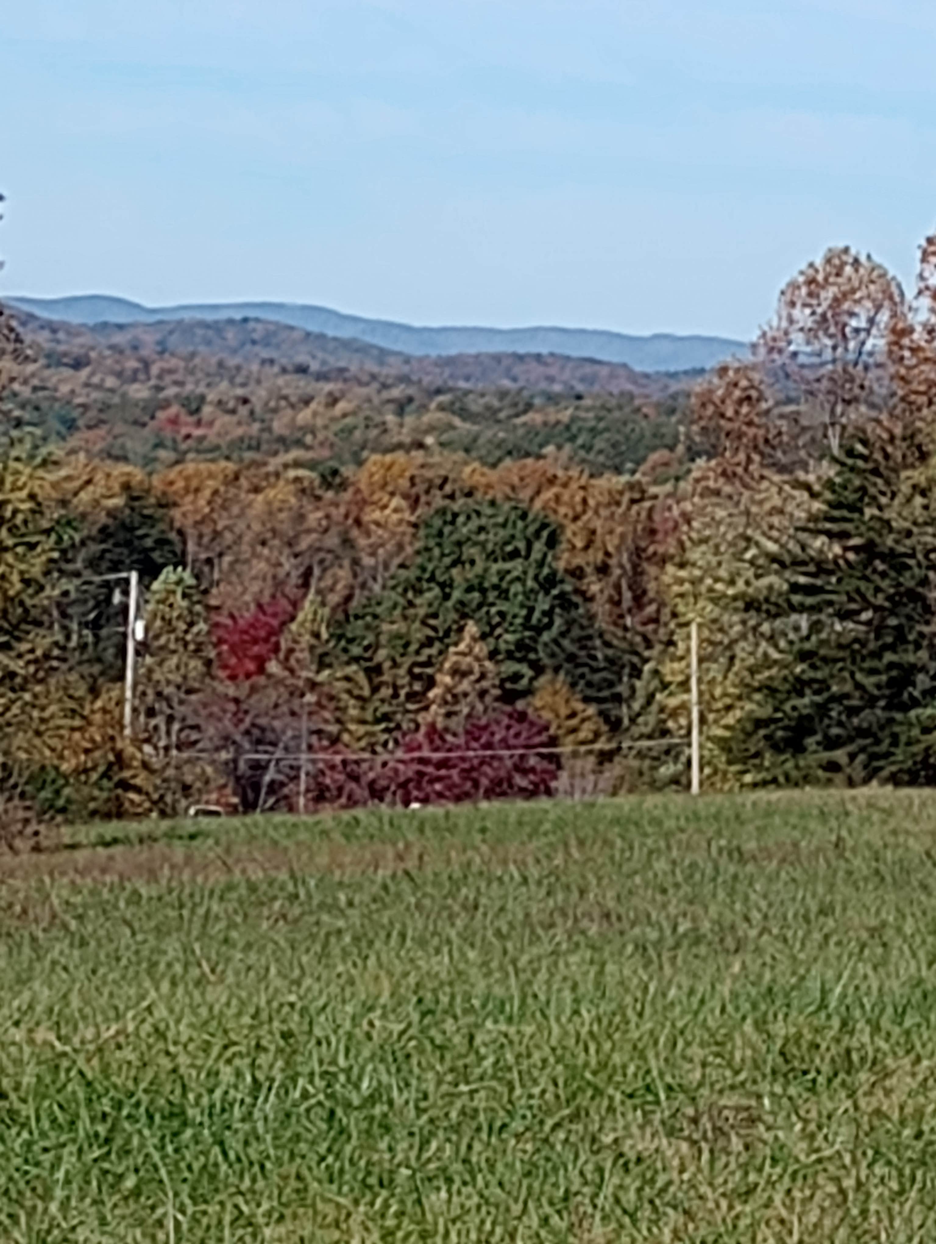Camper-submitted photo at Pop's Place in the Blue Ridge near Eden, NC