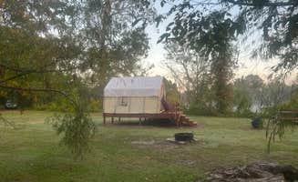 The Dyrt's photo of camping with pets at Tentrr State Park Site - Louisiana Lake Fausse Pointe - Cypress Site B - Single Camp near Franklin, LA
