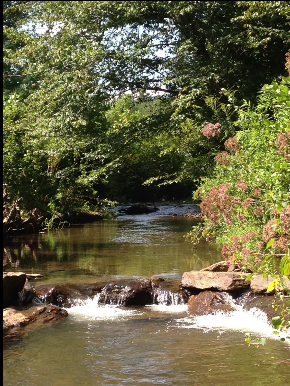Green Heart Farm Creek & Woods
