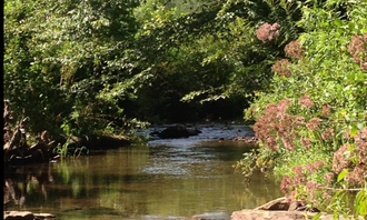 Camping near Stonyfork Creek RV Park: Green Heart Farm Creek & Woods, Candler, North Carolina