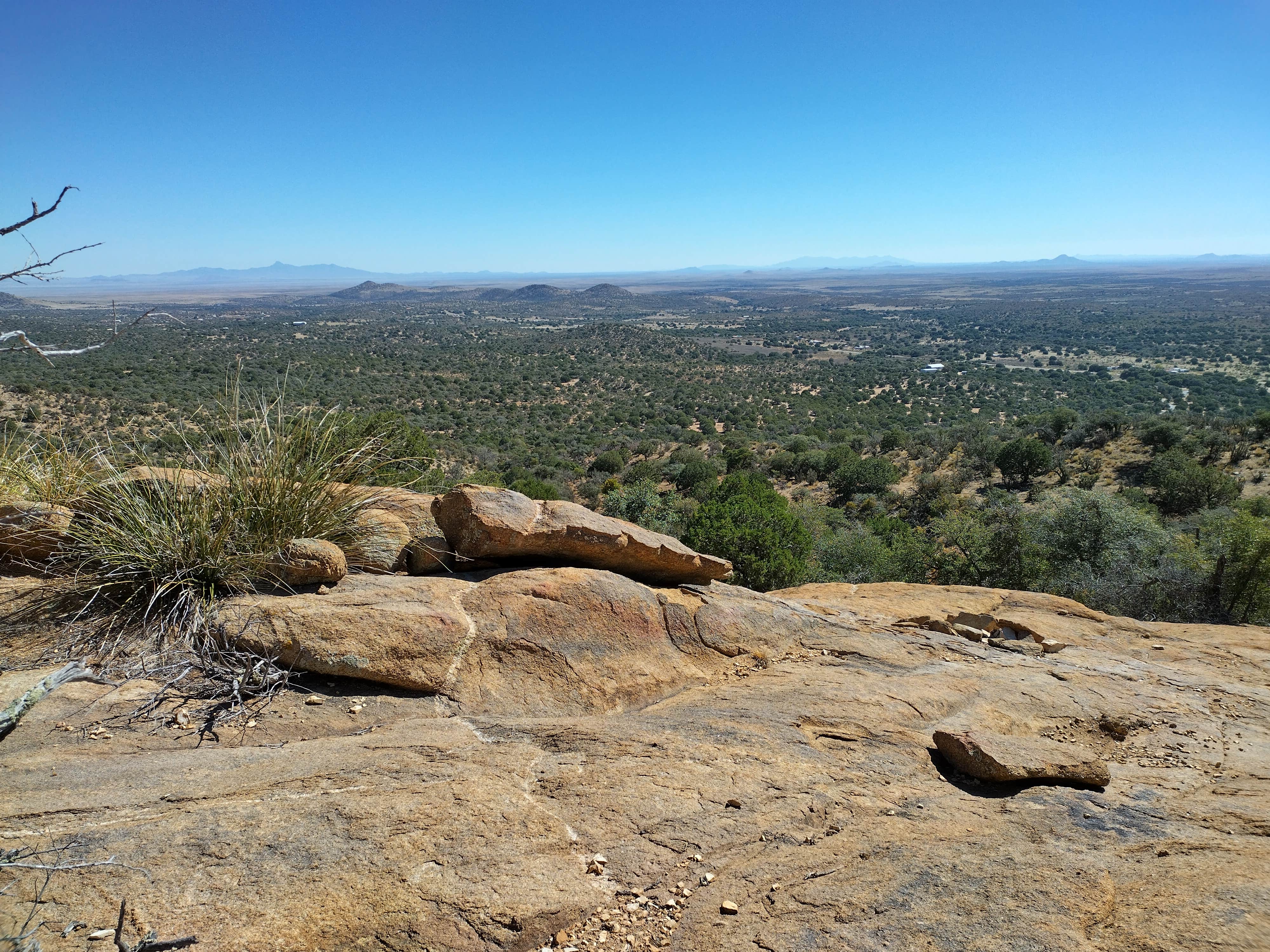 Camper-submitted photo at Cattlemen Trail - Dispersed Camping near Animas, NM
