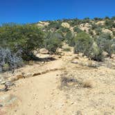 Review photo of Cattlemen Trail - Dispersed Camping by Doug H., October 26, 2023