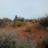 Review photo of Red Cliffs Campground by Natalie B., November 1, 2018