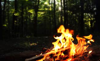 Maggie J.'s photo at Mile Creek County Park near Seneca, SC