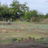 Review photo of Pecan Valley RV Park by Will and Lucinda B., October 27, 2023