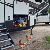 Review photo of Pecan Valley RV Park by Will and Lucinda B., October 27, 2023
