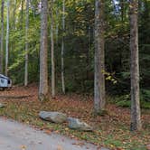 Review photo of Elkmont Campground — Great Smoky Mountains National Park by Bryan W., October 27, 2023