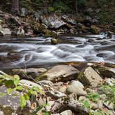 Review photo of Elkmont Campground — Great Smoky Mountains National Park by Bryan W., October 27, 2023