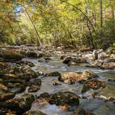 Review photo of Elkmont Campground — Great Smoky Mountains National Park by Bryan W., October 27, 2023