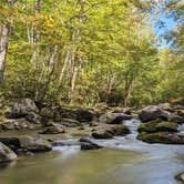 Review photo of Elkmont Campground — Great Smoky Mountains National Park by Bryan W., October 27, 2023