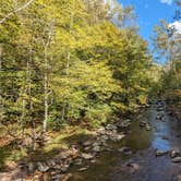 Review photo of Elkmont Campground — Great Smoky Mountains National Park by Bryan W., October 27, 2023