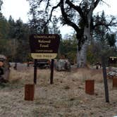 Review photo of Pines Campground Stanislaus — Stanislaus National Forest by Natalie B., November 1, 2018