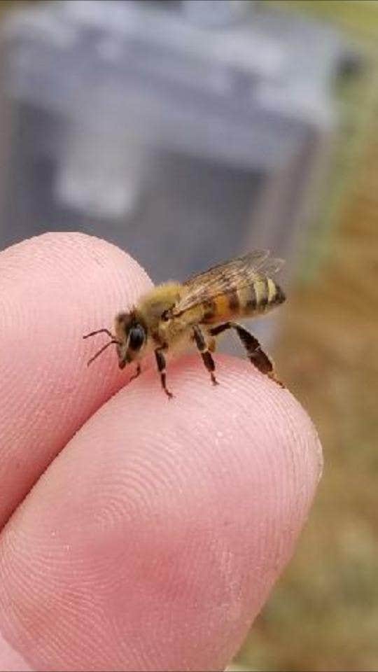 Camper-submitted photo at STAR LEE FARM near Saxton, PA