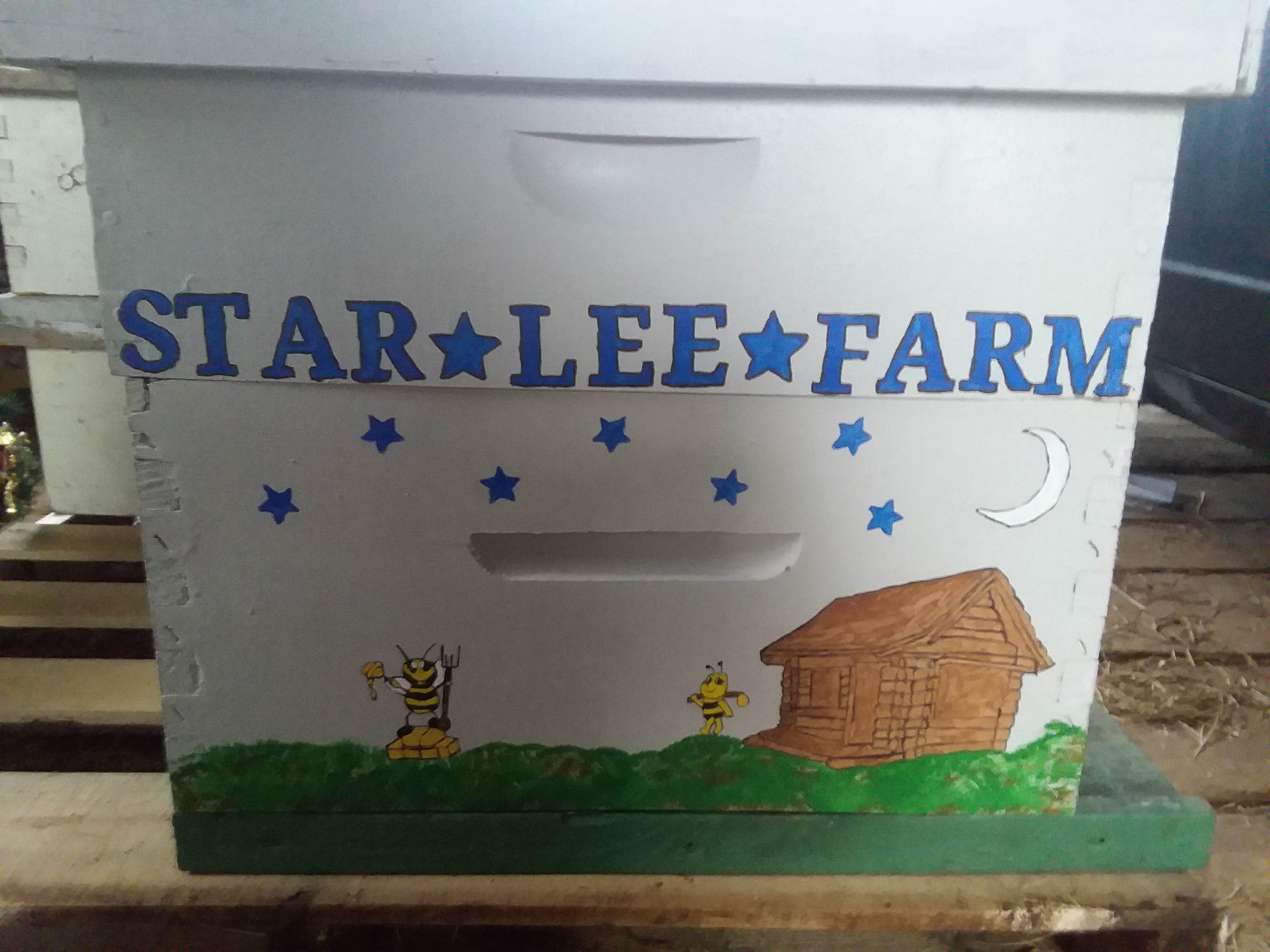 Camper-submitted photo at STAR LEE FARM near Saxton, PA