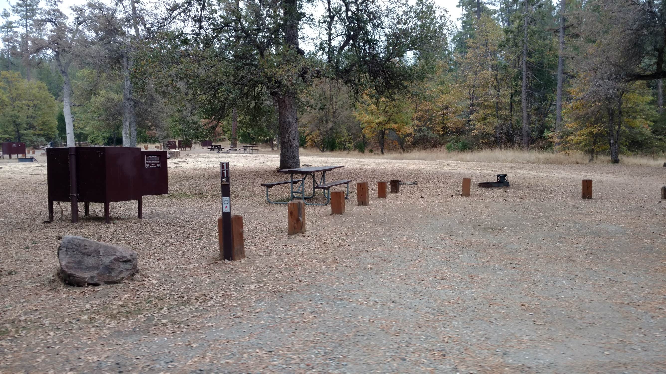 Camper submitted image from Pines Campground Stanislaus — Stanislaus National Forest - 5