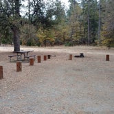 Review photo of The Pines Campground by Natalie B., November 1, 2018