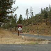 Review photo of Pines Campground Stanislaus — Stanislaus National Forest by Natalie B., November 1, 2018