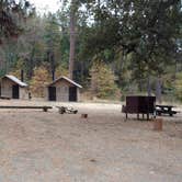 Review photo of Pines Campground Stanislaus — Stanislaus National Forest by Natalie B., November 1, 2018