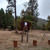 Review photo of Pines Campground Stanislaus — Stanislaus National Forest by Natalie B., November 1, 2018