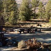 Review photo of Tioga Lake Campground by Natalie B., November 1, 2018