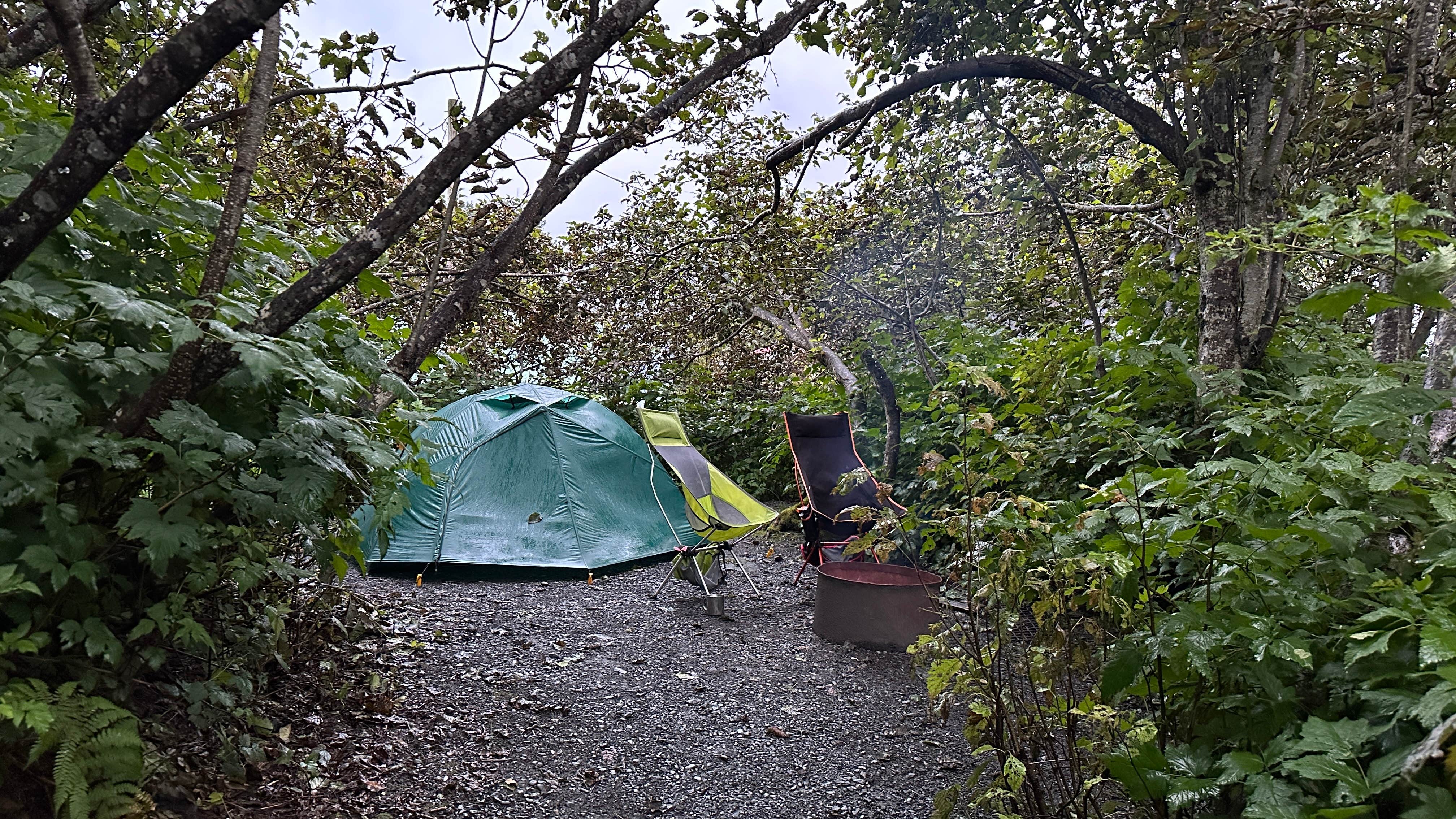 Camper-submitted photo at Bear Paw RV Park II (Adults Only) near Valdez, AK