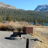 Review photo of Tioga Lake Campground by Natalie B., November 1, 2018