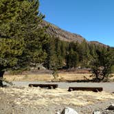 Review photo of Junction Campground by Natalie B., November 1, 2018