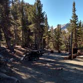 Review photo of Junction Campground by Natalie B., November 1, 2018