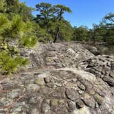 Review photo of Petit Jean State Park — Petit Jean State Park by Natalie C., October 30, 2023