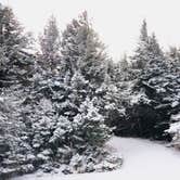 Review photo of Spruce Knob and Spruce Knob Observation Tower by Hannah V., November 1, 2018