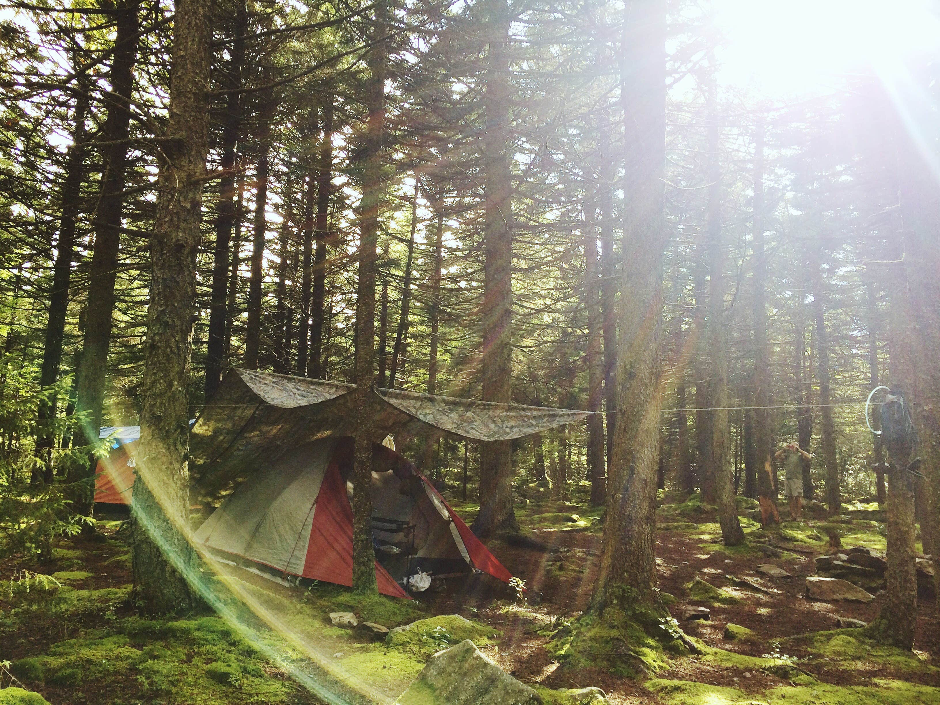 Hannah V.'s photo at Spruce Knob and Spruce Knob Observation Tower near Blue Grass, VA