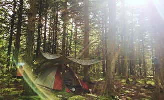 Hannah V.'s photo at Spruce Knob and Spruce Knob Observation Tower near Glady, WV