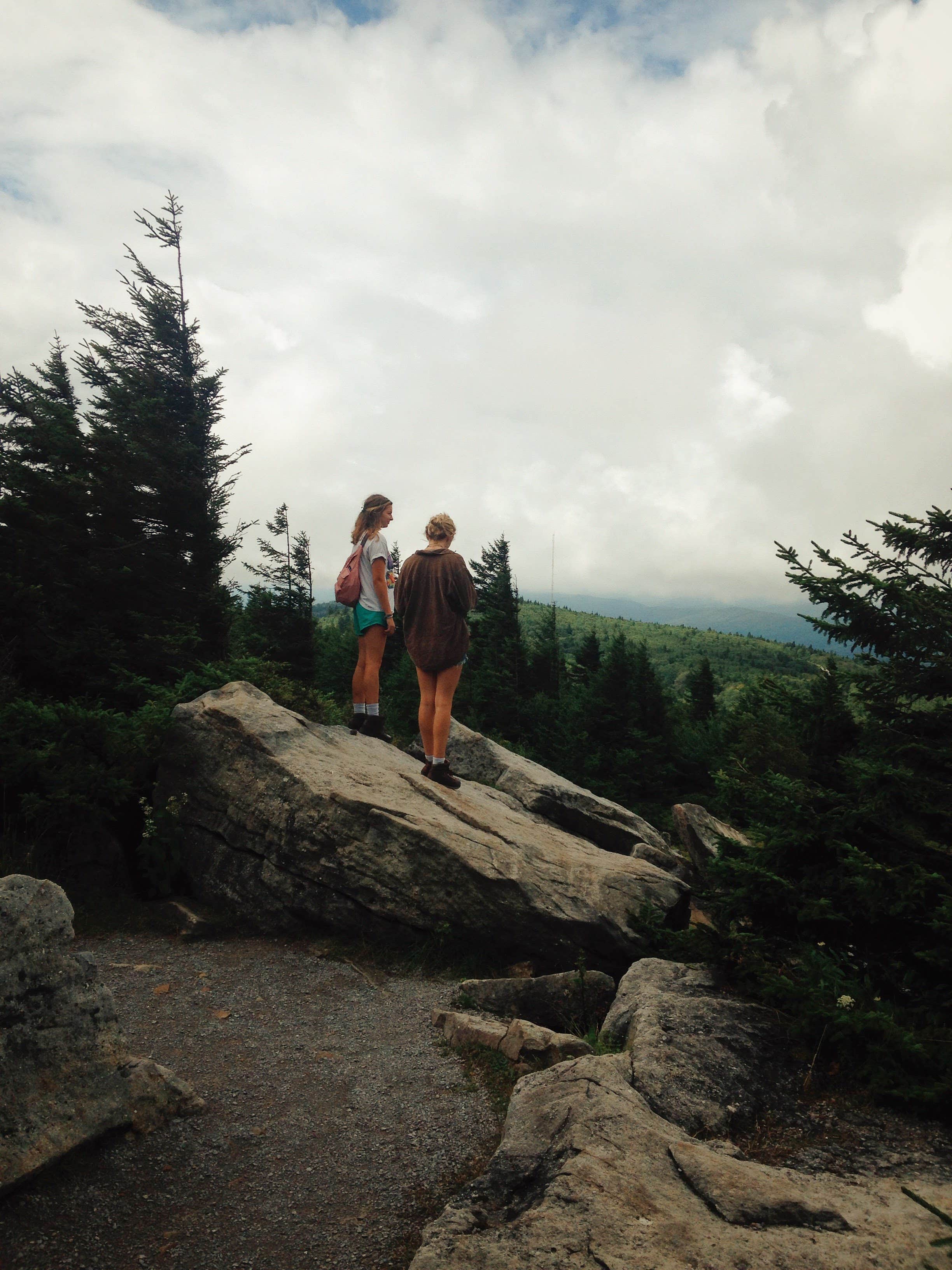 Camper submitted image from Spruce Knob and Spruce Knob Observation Tower - 3