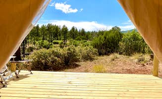 Guy G.'s photo at Manzano Mountain Retreat near Ponderosa, NM