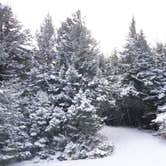 Review photo of Spruce Knob and Spruce Knob Observation Tower by Hannah V., November 1, 2018