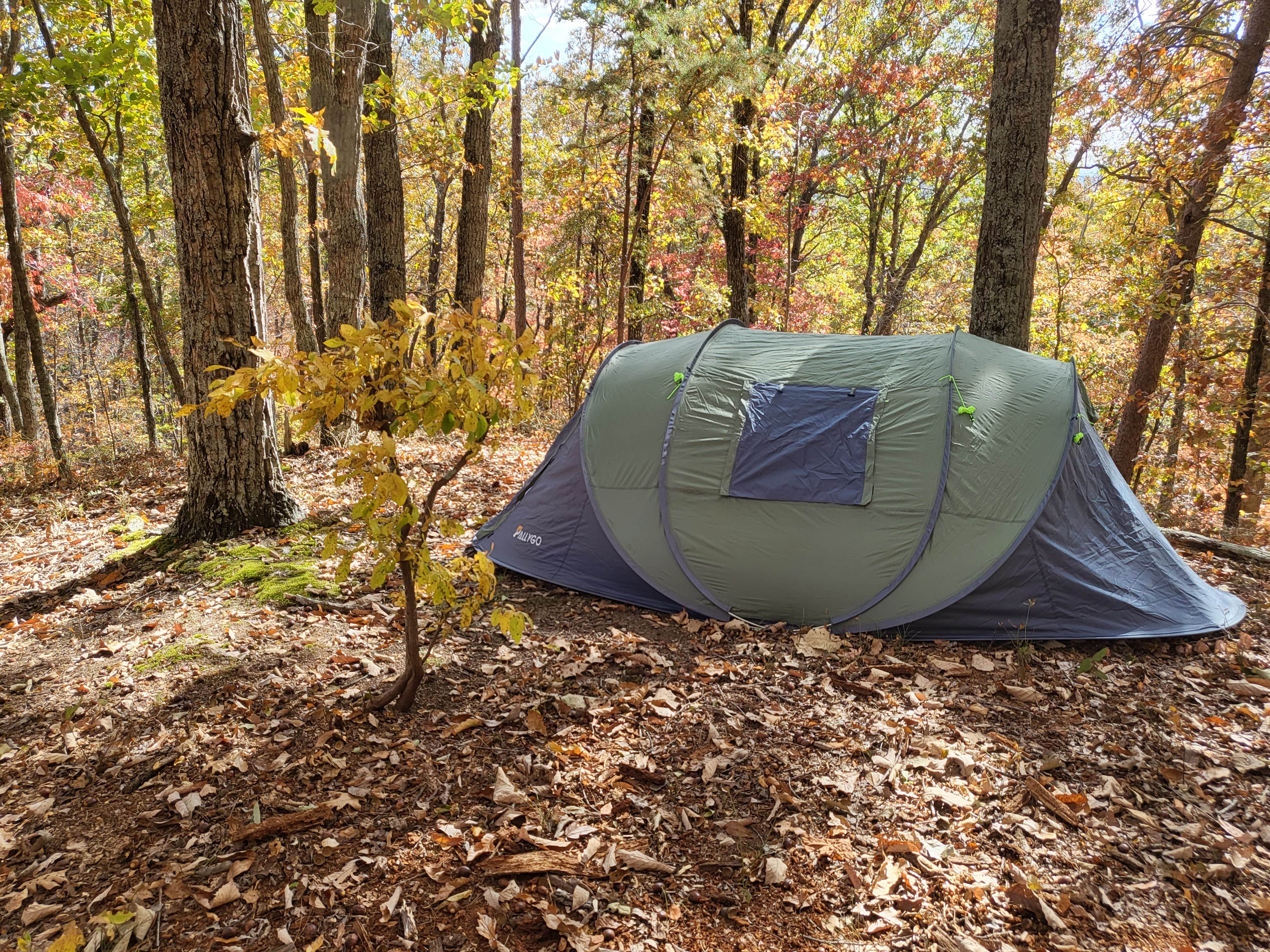 Ty M.'s photo at Serenity Ridge near Rydal, GA