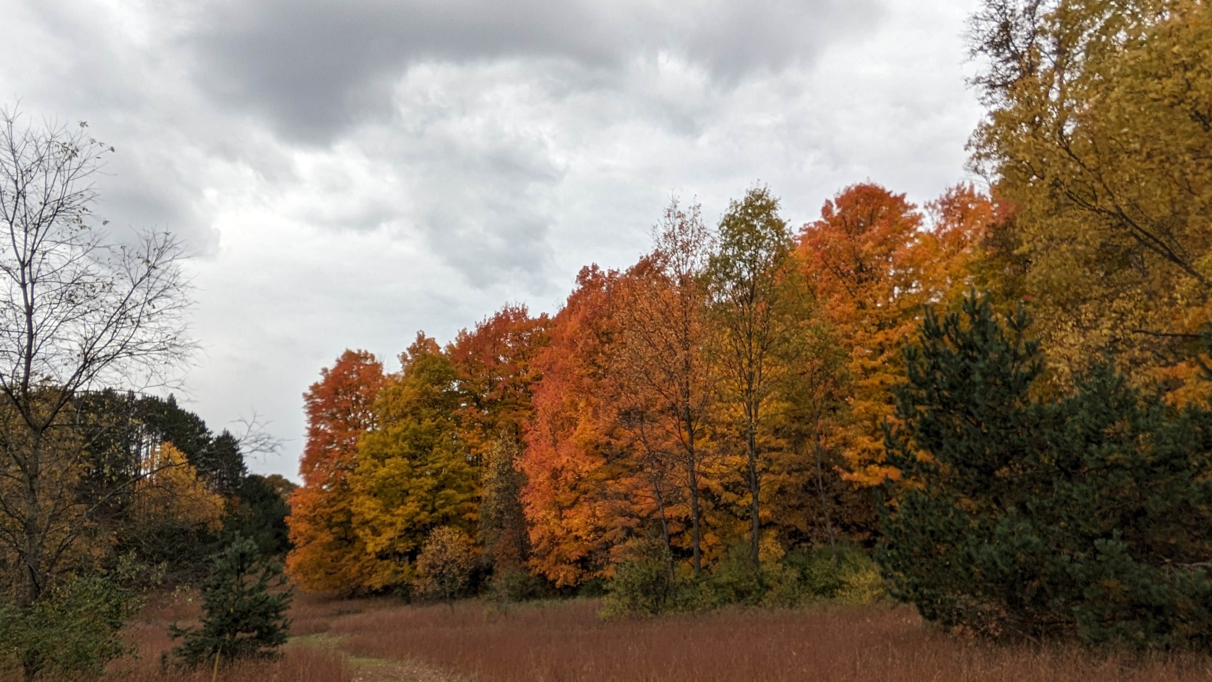 Camping near Hopkins Creek State Forest Campground: Ferg's Fife, Fife Lake, Michigan