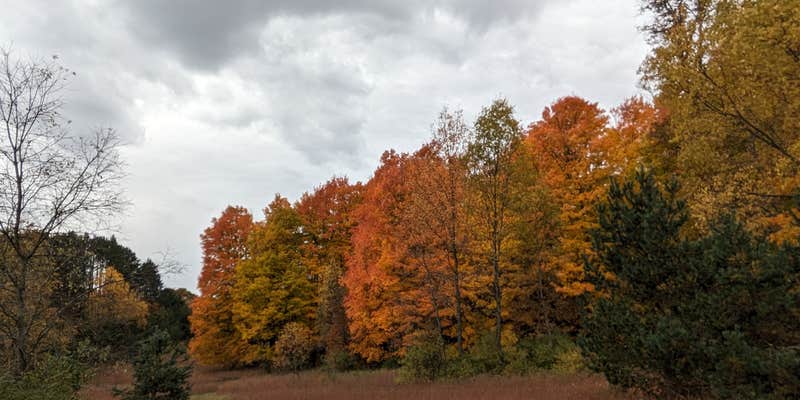 Camper submitted image from Ferg's Fife