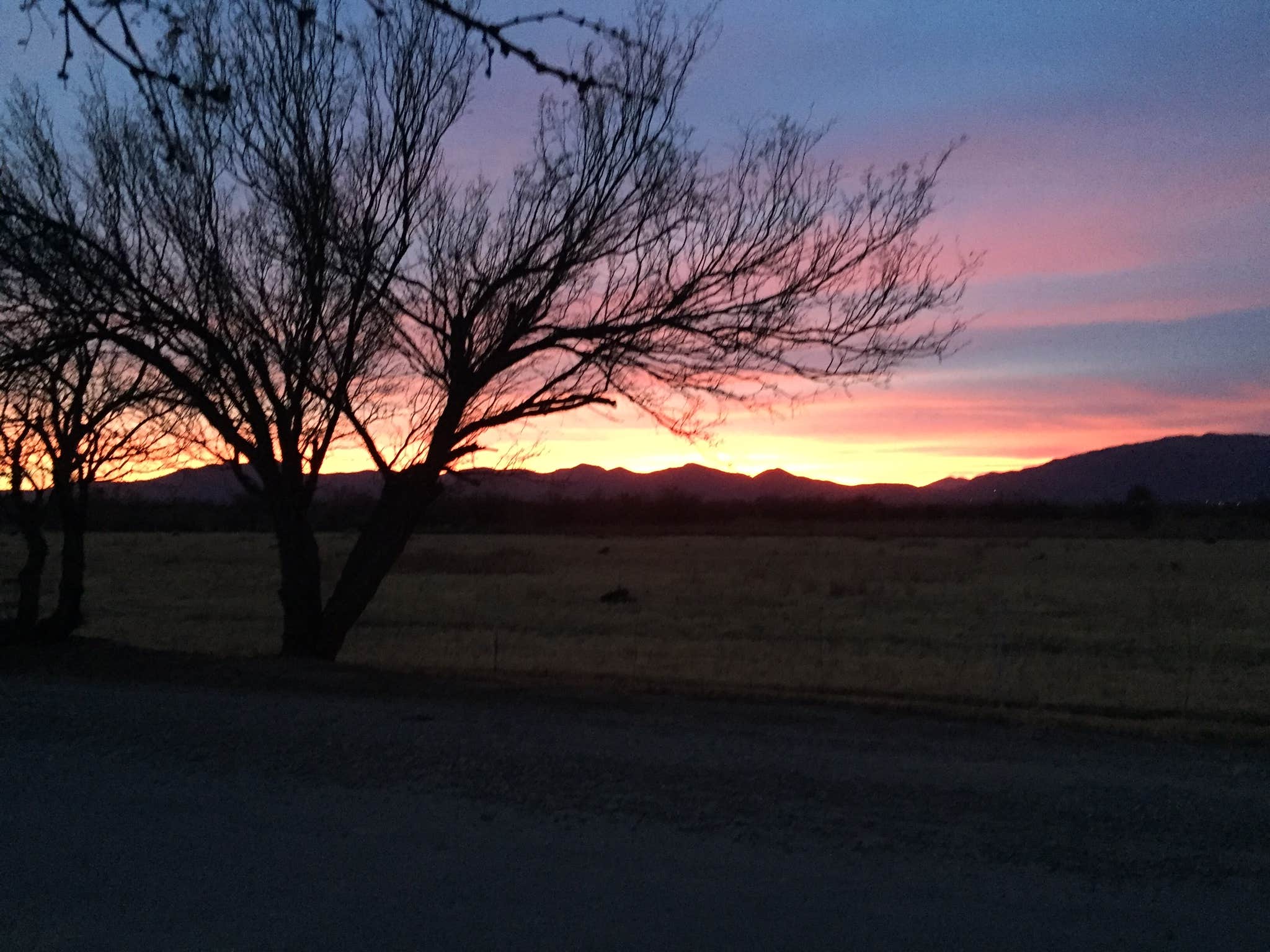 Camper submitted image from Double Adobe Campground and Shotgun Sports - 2