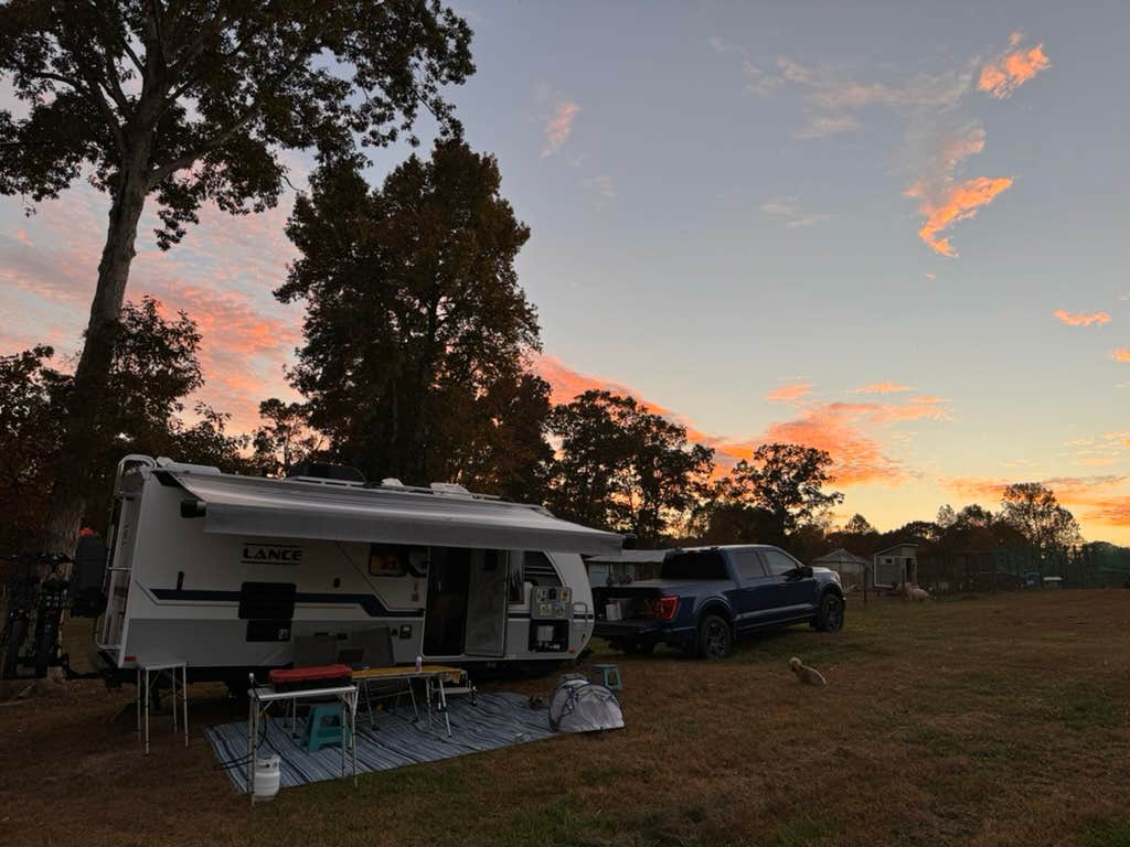 Marina T.'s photo at Llamas on the Loose Farm near Fairburn, GA