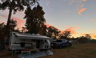 Marina T.'s photo at Llamas on the Loose Farm near Hiram, GA