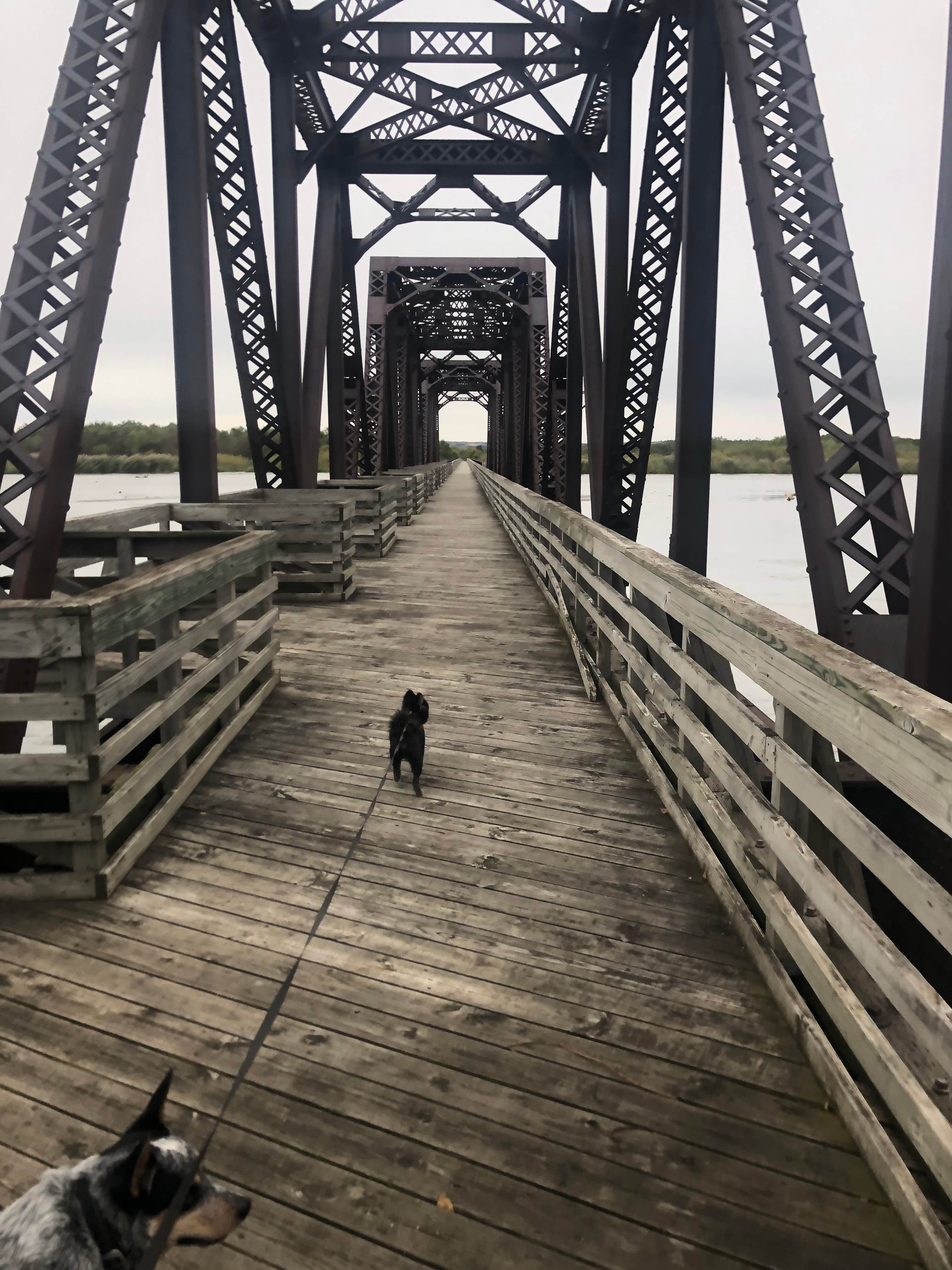 Camper-submitted photo at West Campground — Smith Falls State Park near Long Pine, NE