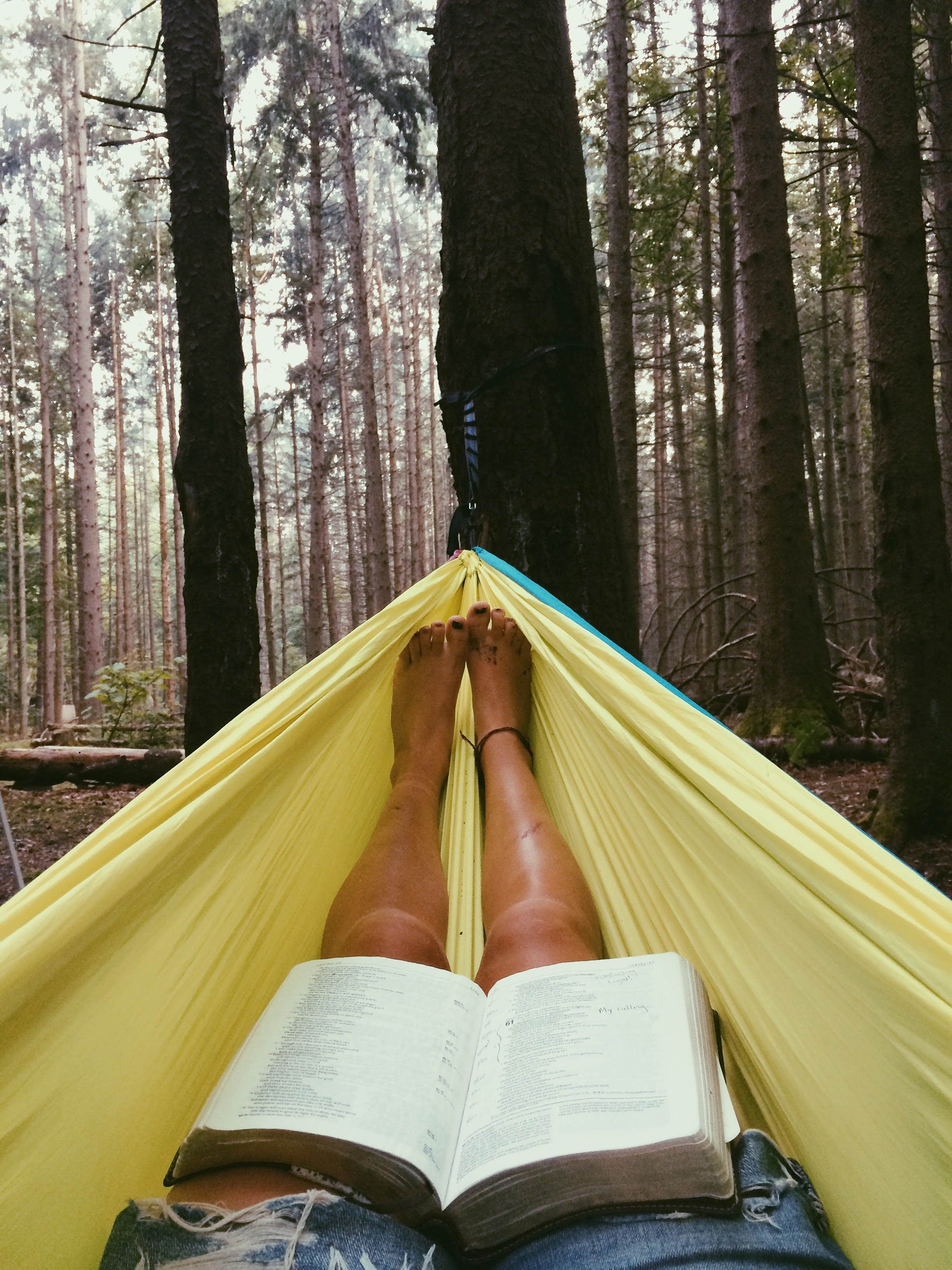 Hannah V.'s photo at Holly River State Park Campground near West Milford, WV